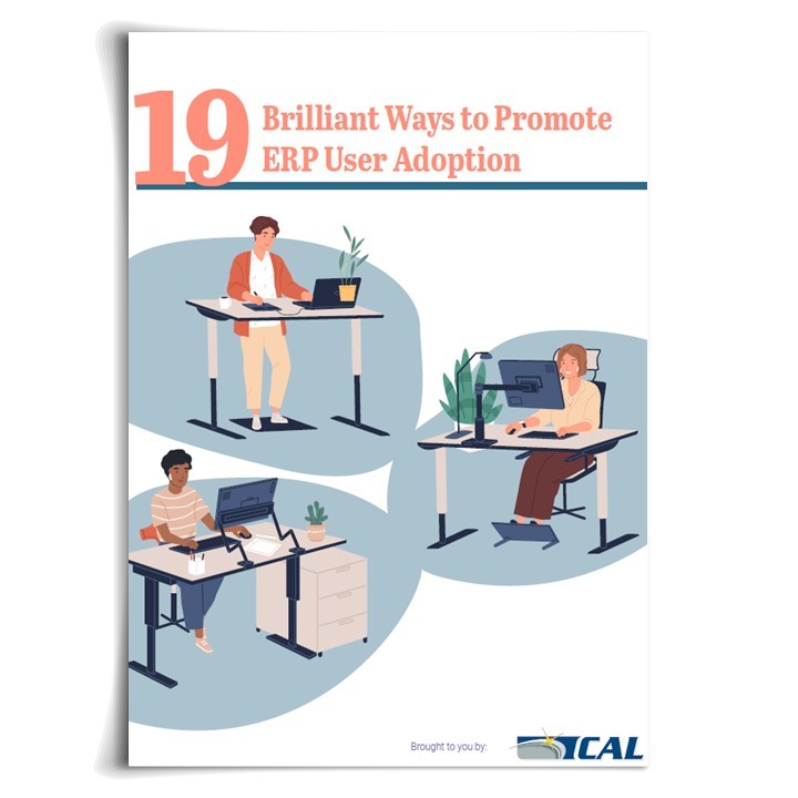 19 Brilliant Ways to Promote ERP User Adoption