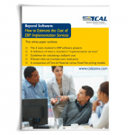 White Paper: Beyond Software - How to Estimate the Costs of ERP Implementation Services